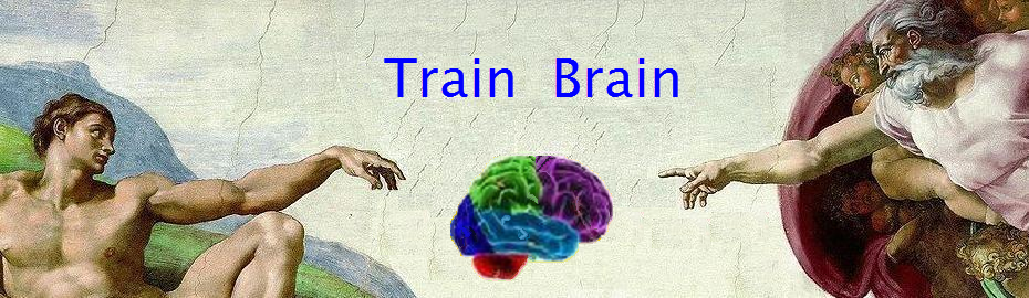 Train Brain